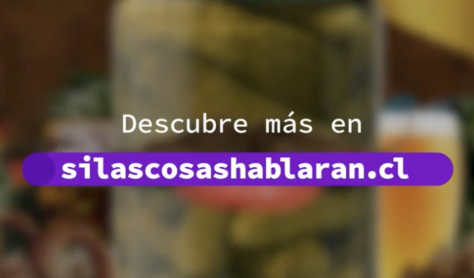 Si las cosas hablaran, campaña de Conecta Logística